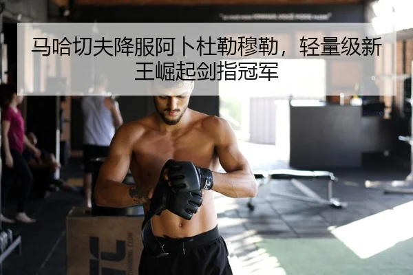 马哈切夫降服阿卜杜勒穆勒，轻量级新王崛起剑指冠军