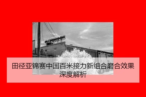 tian-jing-ya-jin-sai-zhong-guo-bai-mi-jie-li-xin-zu-he-mo-he-xiao-guo-shen-du-jie-xi-2-740.jpg