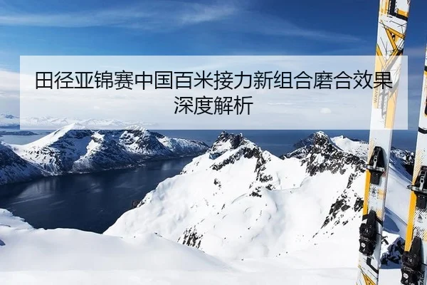 田径亚锦赛中国百米接力新组合磨合效果深度解析