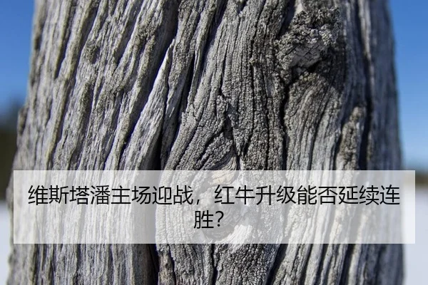 wei-si-ta-pan-zhu-chang-ying-zhan-hong-niu-sheng-ji-neng-fou-yan-xu-lian-sheng-2-433.jpg