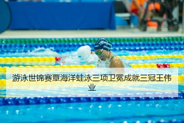 you-yong-shi-jin-sai-tan-hai-yang-wa-yong-san-xiang-wei-mian-cheng-jiu-san-guan-wang-wei-ye-2-960.jpg