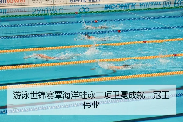 you-yong-shi-jin-sai-tan-hai-yang-wa-yong-san-xiang-wei-mian-cheng-jiu-san-guan-wang-wei-ye-3-420.jpg