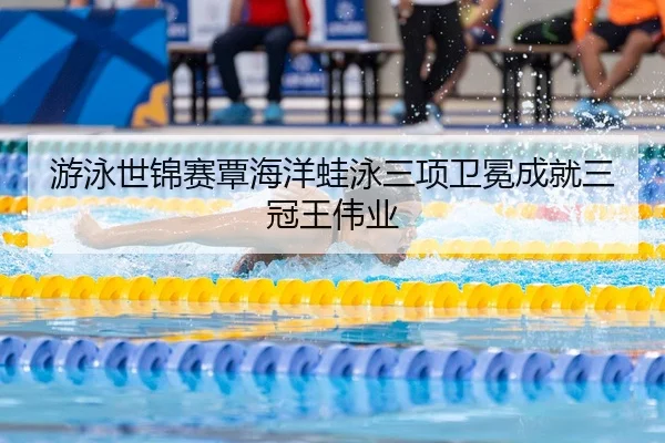 游泳世锦赛覃海洋蛙泳三项卫冕成就三冠王伟业