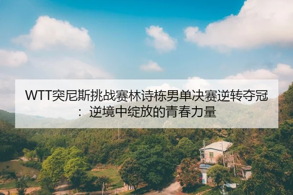 WTT突尼斯挑战赛林诗栋男单决赛逆转夺冠：逆境中绽放的青春力量